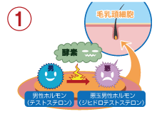 メカニズムの図解イメージ1