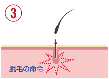 メカニズムの図解イメージ3