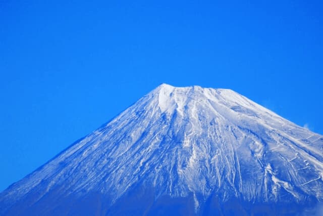 AGA治療を富士市で受ける際の重要ポイントとおすすめ医院