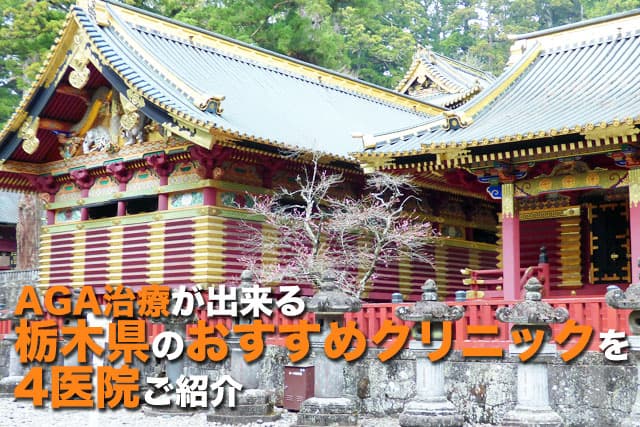 AGA治療が出来る栃木県のおすすめクリニックを医院ご紹介