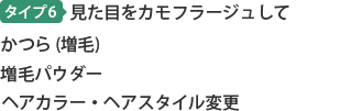 タイプ6 見た目をカモフラージュして かつら(増毛) 増毛パウダー ヘアカラー・ヘアスタイル変更