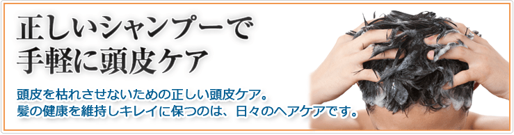 正しいシャンプーで手軽に頭皮ケア 頭皮を枯れさせないための正しい頭皮ケア。髪の健康を維持し保つのは、日々のケアです。